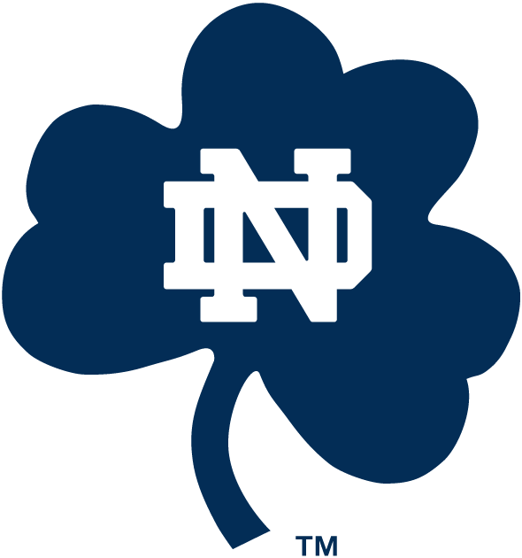 Notre Dame Fighting Irish 1994-Pres Alternate Logo v8 diy fabric transfer